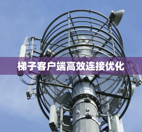 梯子客户端高效连接优化 梯子客户端高效连接优化