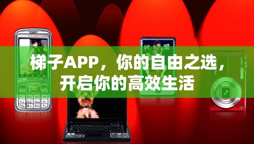 梯子APP，你的自由之选，开启你的高效生活