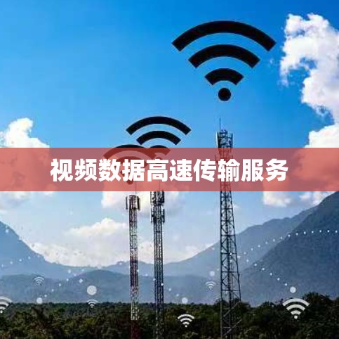 视频数据高速传输服务 视频数据高速传输服务