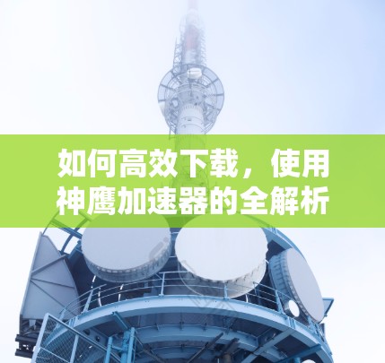 如何高效下载，使用神鹰加速器的全解析