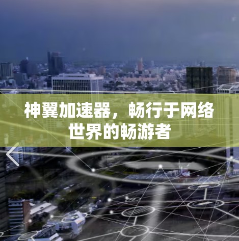 神翼加速器,畅行于网络世界的畅游者