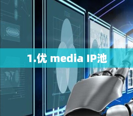 1.优 media IP池 1.优 media IP池