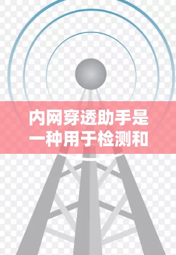 内网穿透助手是一种用于检测和阻止网络攻击的工具,主要通过多种技术手段实现,旨在保护企业的内部网络安全。以下是详细的使用方法和步骤 内网穿透助手是一种用于检测和阻止网络攻击的工具,主要通过多种技术手段实现,旨在保护企业的内部网络安全。以下是详细的使用方法和步骤