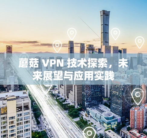 蘑菇 VPN 技术探索,未来展望与应用实践 蘑菇 VPN 技术探索,未来展望与应用实践