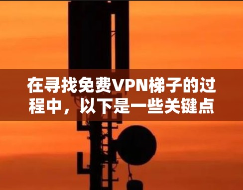 在寻找免费VPN梯子的过程中,以下是一些关键点和建议,帮助您做出明智的选择 在寻找免费VPN梯子的过程中,以下是一些关键点和建议,帮助您做出明智的选择
