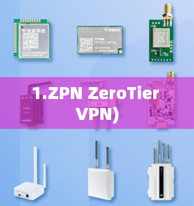 1.ZPN ZeroTier VPN)