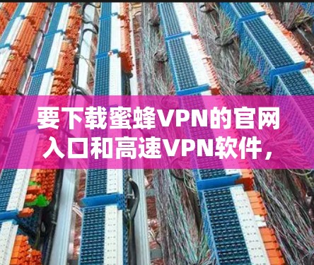要下载蜜蜂VPN的官网入口和高速VPN软件，请按照以下步骤操作