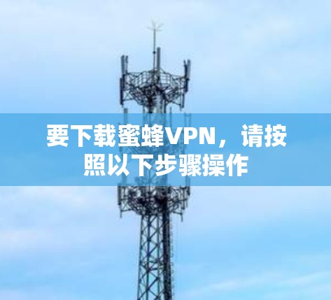 要下载蜜蜂VPN，请按照以下步骤操作