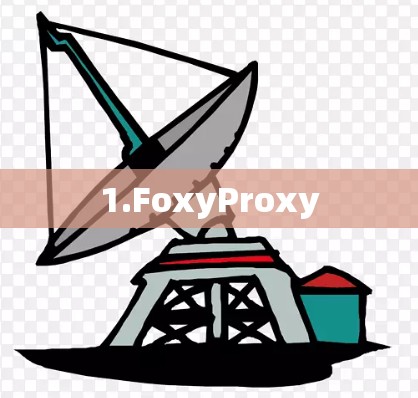 1.FoxyProxy 1.FoxyProxy