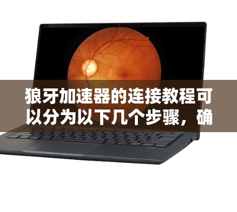狼牙加速器的连接教程可以分为以下几个步骤,确保您能够顺利完成配置和使用 狼牙加速器的连接教程可以分为以下几个步骤,确保您能够顺利完成配置和使用