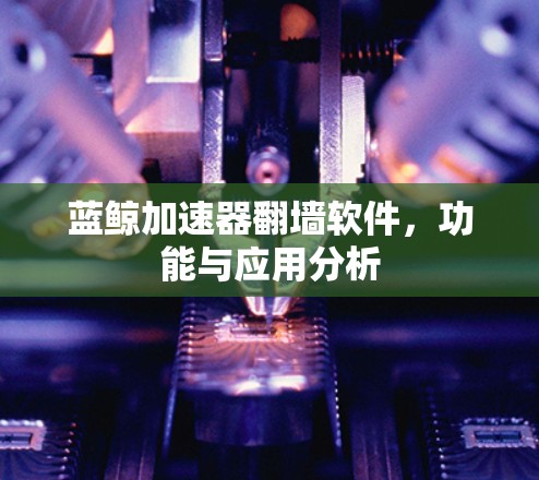 蓝鲸加速器翻墙软件，功能与应用分析