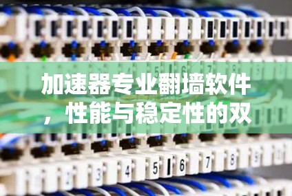 加速器专业翻墙软件,性能与稳定性的双重保障 加速器专业翻墙软件,性能与稳定性的双重保障