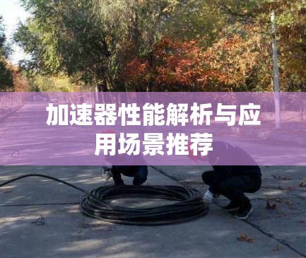 加速器性能解析与应用场景推荐