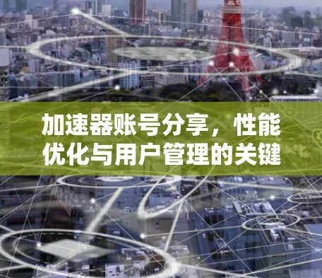 加速器账号分享,性能优化与用户管理的关键技术 加速器账号分享,性能优化与用户管理的关键技术