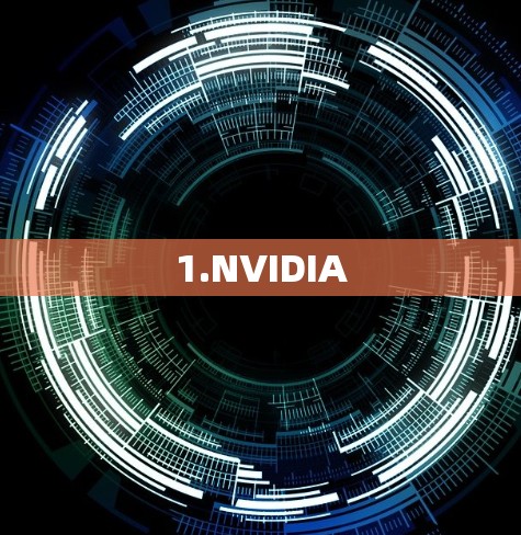 1.NVIDIA 1.NVIDIA
