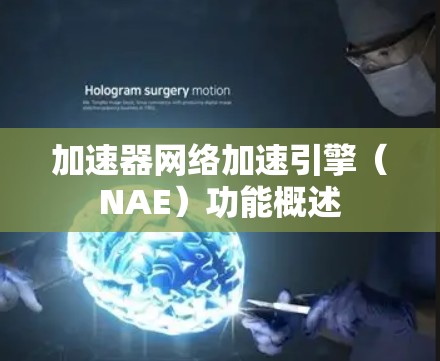 加速器网络加速引擎(NAE)功能概述 加速器网络加速引擎(NAE)功能概述