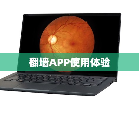 翻墙APP使用体验