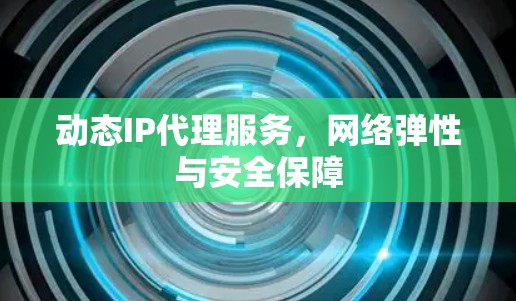 动态IP代理服务,网络弹性与安全保障 动态IP代理服务,网络弹性与安全保障