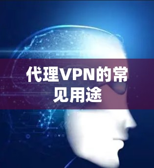 代理VPN的常见用途