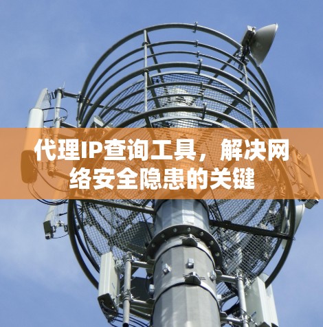 代理IP查询工具,解决网络安全隐患的关键 代理IP查询工具,解决网络安全隐患的关键