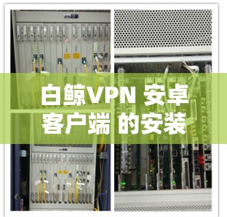 白鲸VPN 安卓客户端 的安装和使用步骤如下 白鲸VPN 安卓客户端 的安装和使用步骤如下