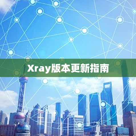 Xray版本更新指南