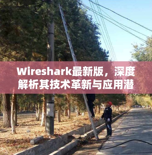 Wireshark最新版，深度解析其技术革新与应用潜力