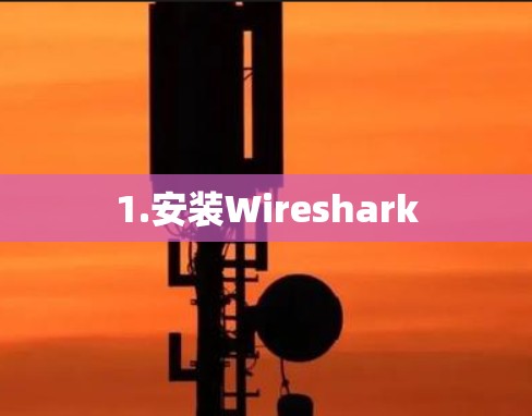 1.安装Wireshark