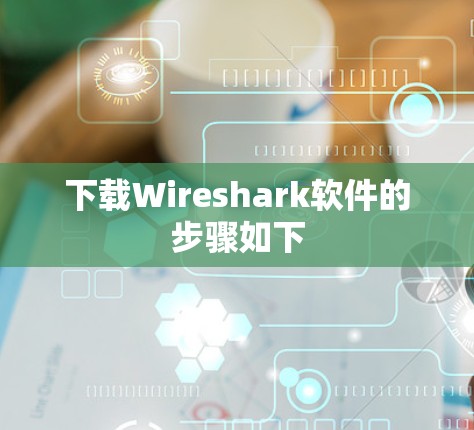 下载Wireshark软件的步骤如下