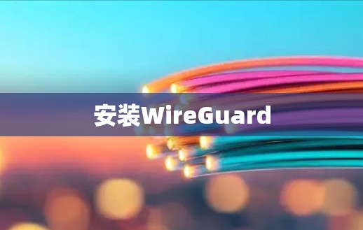 安装WireGuard