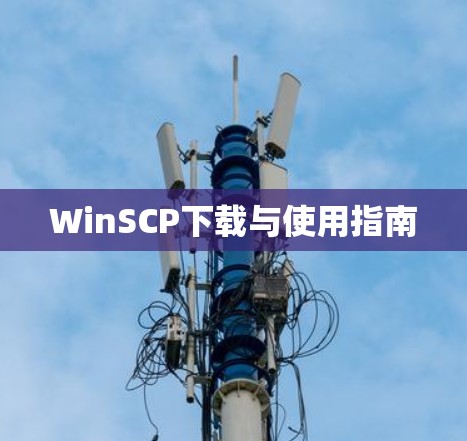 WinSCP下载与使用指南 WinSCP下载与使用指南