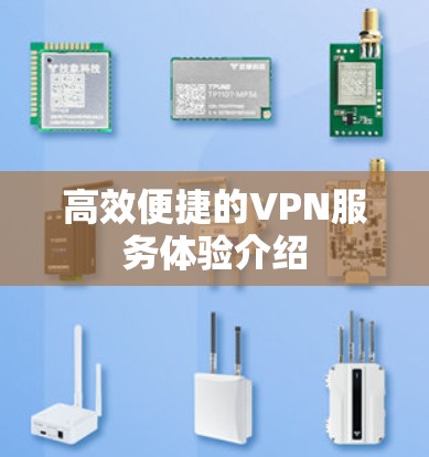 高效便捷的VPN服务体验介绍