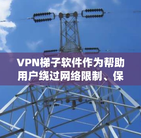 VPN梯子软件作为帮助用户绕过网络限制、保护隐私和安全的工具，市场上有多个国际品牌提供不同的服务。以下是对这些品牌的整理和分析，帮助您选择最适合的软件
