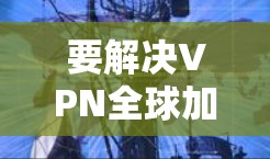 要解决VPN全球加速客户端的问题，以下是一些可能的步骤和建议