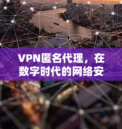 VPN匿名代理,在数字时代的网络安全之道 VPN匿名代理,在数字时代的网络安全之道